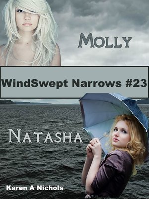 cover image of WindSwept Narrows